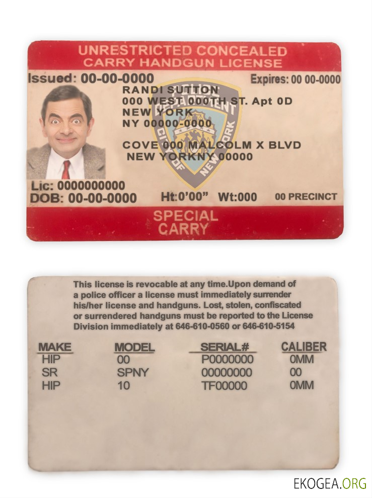 États Unis Permis de transport dissimulé sans restriction dans l'État de New York